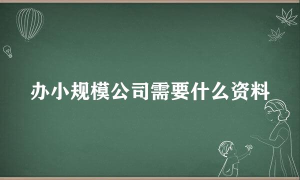 办小规模公司需要什么资料