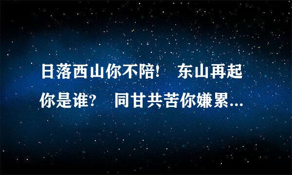 日落西山你不陪! 东山再起你是谁? 同甘共苦你嫌累! 荣华富贵你不配!下一句