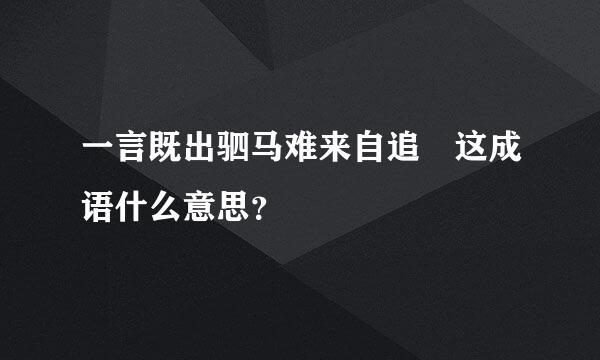 一言既出驷马难来自追 这成语什么意思？