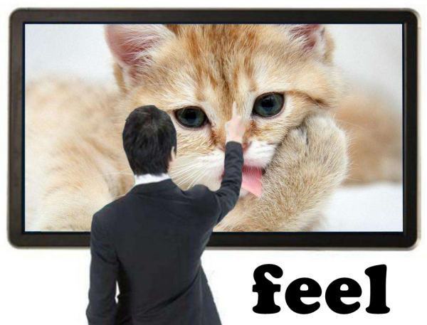 “feel”怎么读？