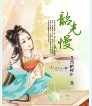 韶光慢TXT百度云,求全集