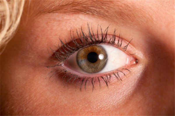 眼睛总是跳动是什么原因