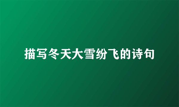 描写冬天大雪纷飞的诗句