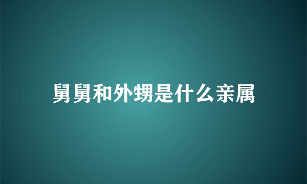 舅舅和外甥是什么亲属