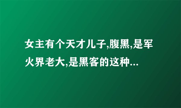 女主有个天才儿子,腹黑,是军火界老大,是黑客的这种小说 亿万老婆买一送一