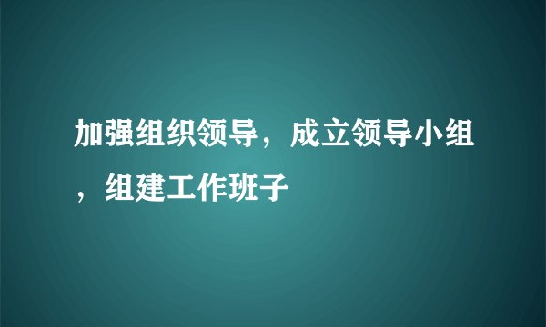加强组织领导，成立领导小组，组建工作班子