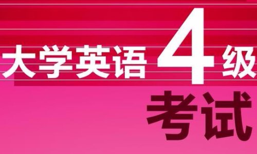 英语四级成绩查询验证码如何输入