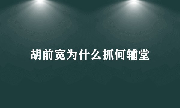 胡前宽为什么抓何辅堂