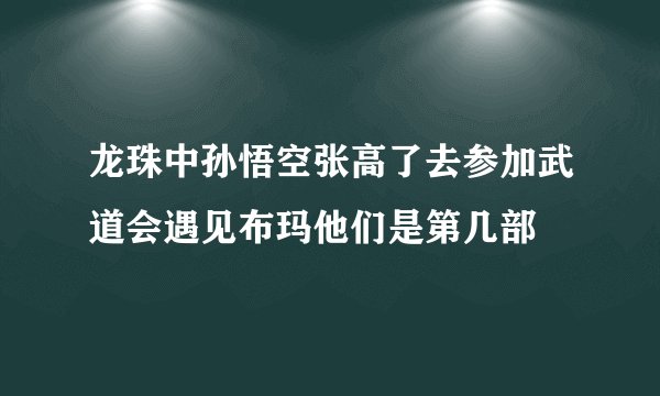 龙珠中孙悟空张高了去参加武道会遇见布玛他们是第几部