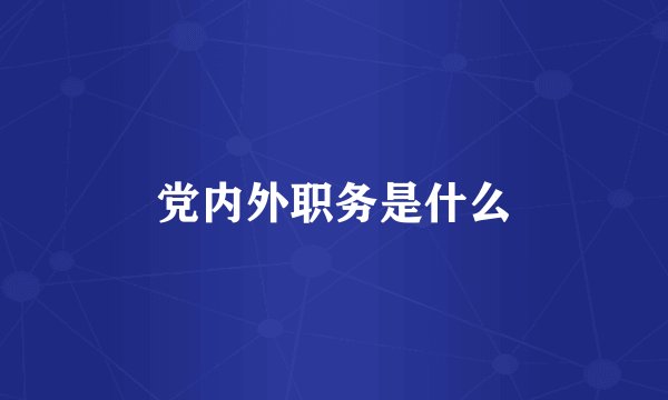 党内外职务是什么