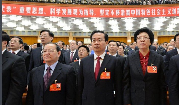 党的十八大报告指出，总任务是什么