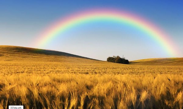 如果有一天你也走在彩虹桥上,你想在桥上做些什么?