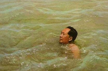 毛泽东诗词中的“极目楚天舒”是什么意思？