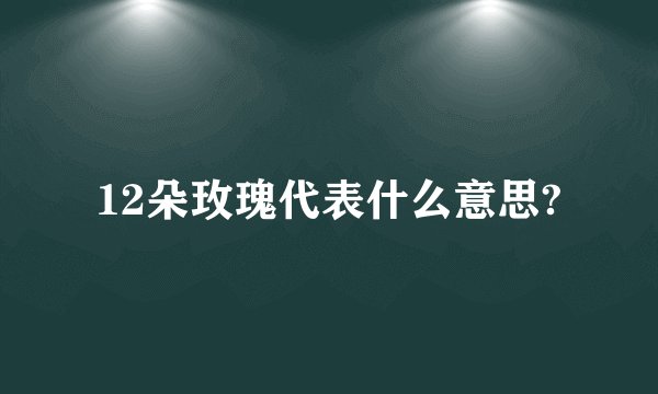 12朵玫瑰代表什么意思?