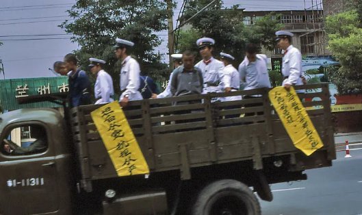 1983年严打的导火索是什么？