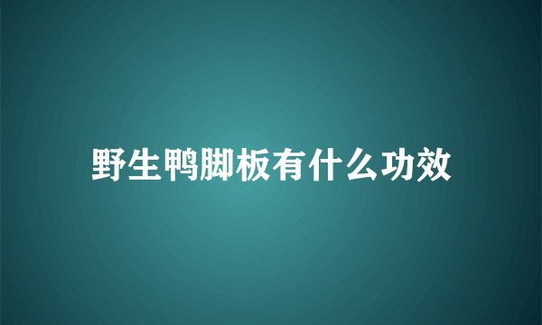 野生鸭脚板有什么功效