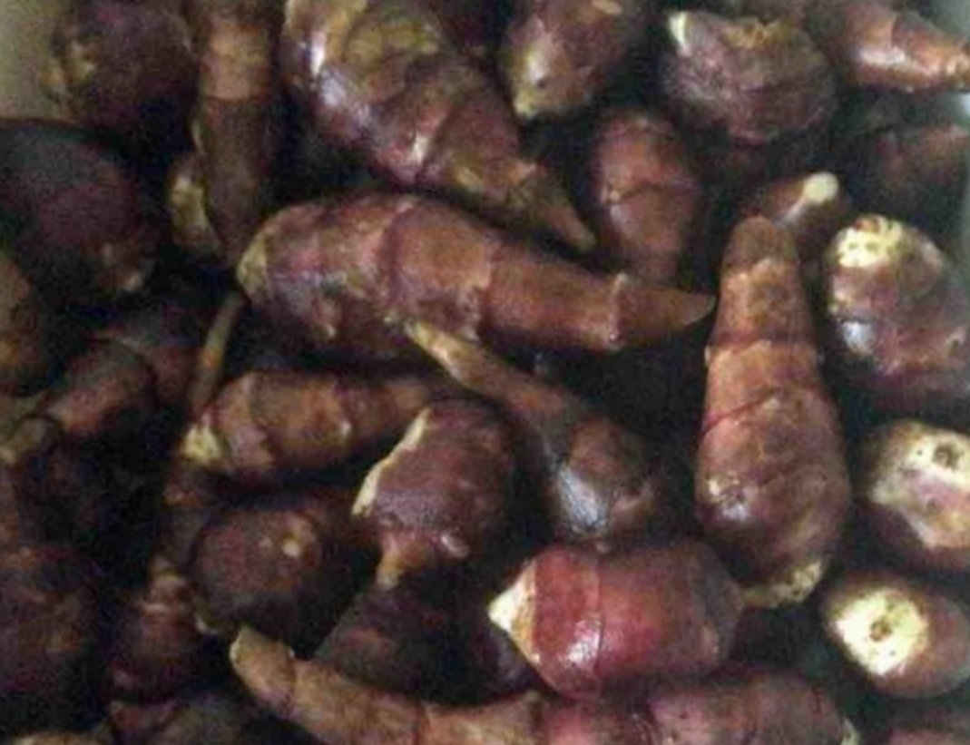 怎样腌制鬼子姜最好吃