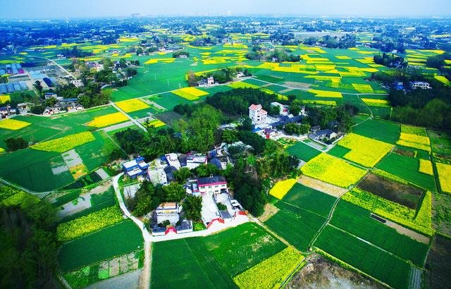 成都平原耕地面积10年时间减少了40%，与哪些因素有关？