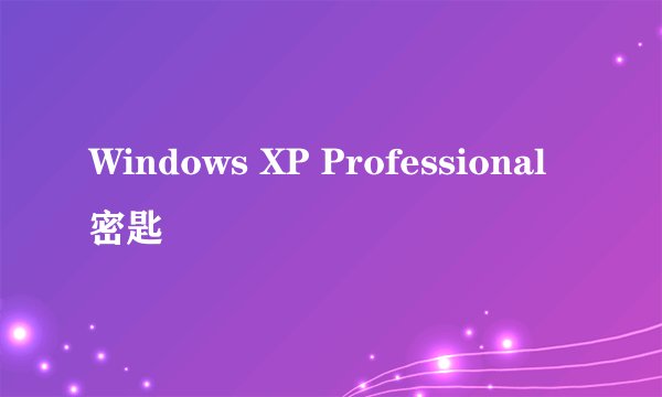 Windows XP Professional 密匙