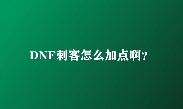 DNF刺客怎么加点啊？