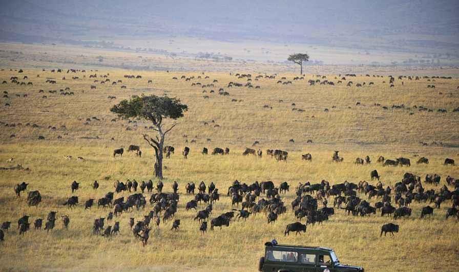 最“豪华”的非洲火车站在哪里，究竟有多豪华呢？
