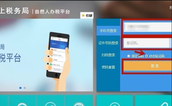 怎么在国税网上打印纳税证明