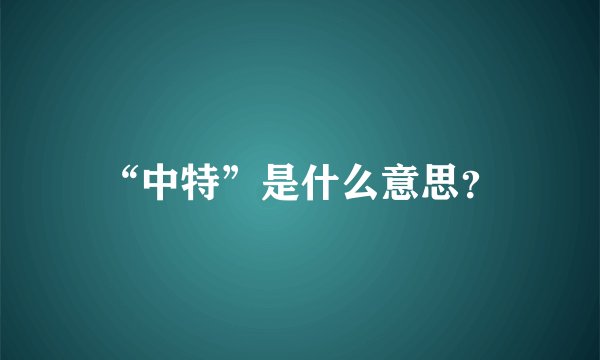 “中特”是什么意思？