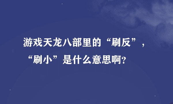 游戏天龙八部里的“刷反”，“刷小”是什么意思啊？