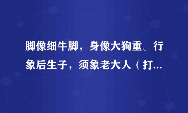脚像细牛脚,身像大狗重。行象后生子,须象老大人(打一动物名)