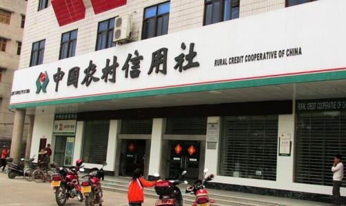 农村信用社怎么查自己的卡号