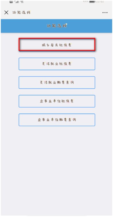 2019农村合作医疗如何网上缴费？