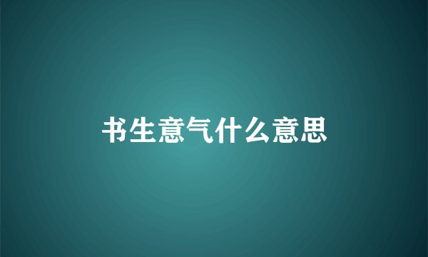 书生意气什么意思
