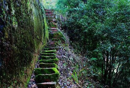 重庆爱情天梯是假的