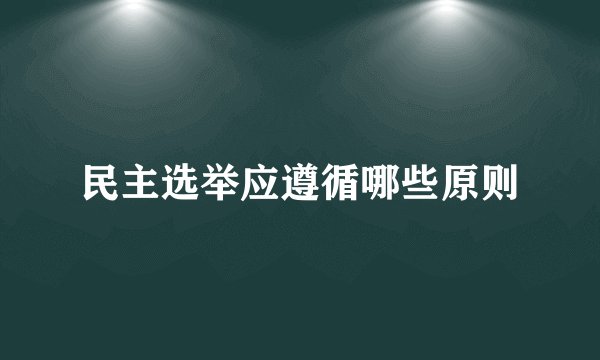 民主选举应遵循哪些原则