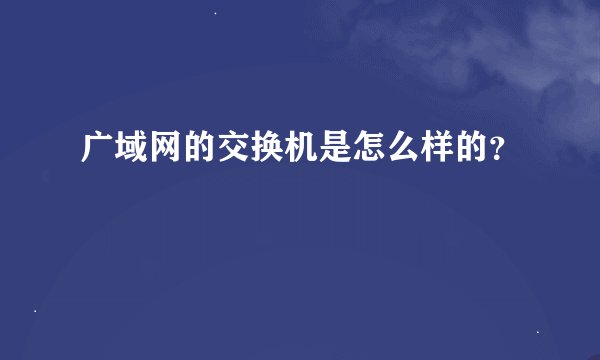 广域网的交换机是怎么样的？