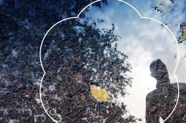 思想政表现，日常行为表现怎么写