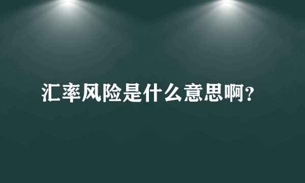 汇率风险是什么意思啊？