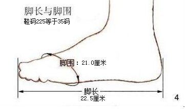 41码的鞋子等于多少厘米？