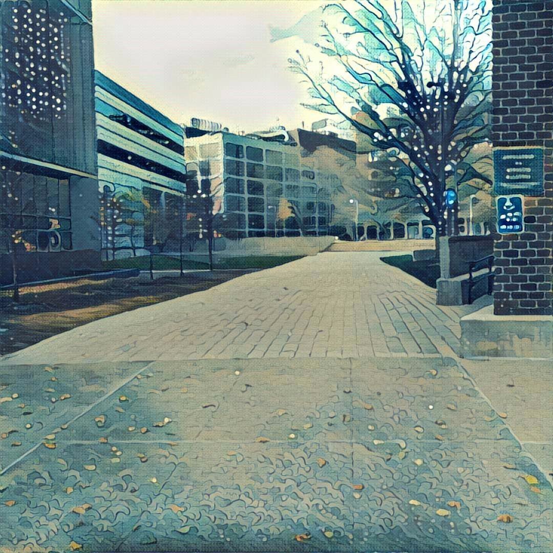 哈佛峰会HWeek/XWeek值得去吗?