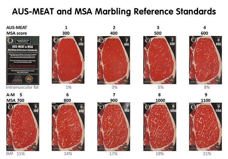 澳洲和牛的等级M1~M12怎么分法?