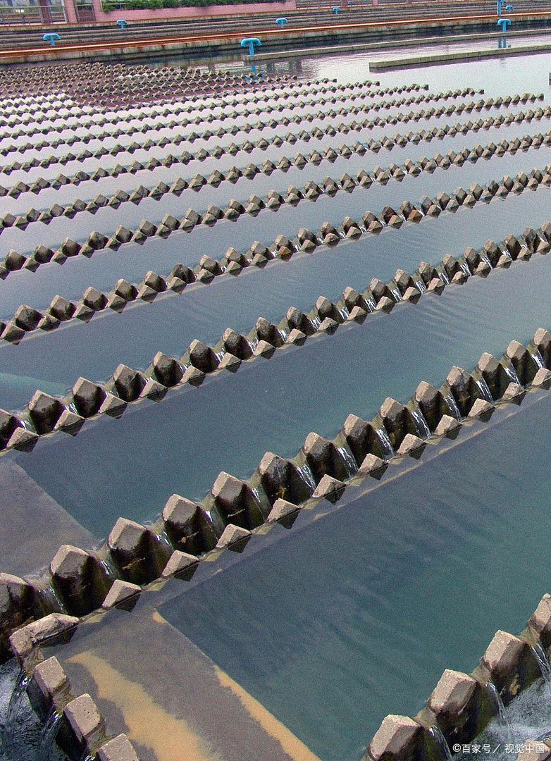 中国自来水里有食脑虫,有被证实过吗?