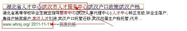 武汉市人才服务中心官方网站
