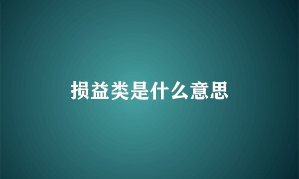 损益类是什么意思