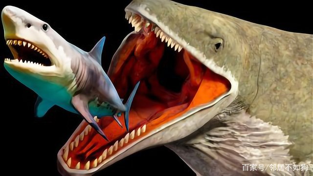 令人害怕的马里亚纳海沟,里面到底有什么生物存在?