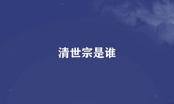 清世宗是谁