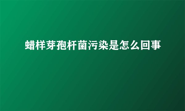 蜡样芽孢杆菌污染是怎么回事