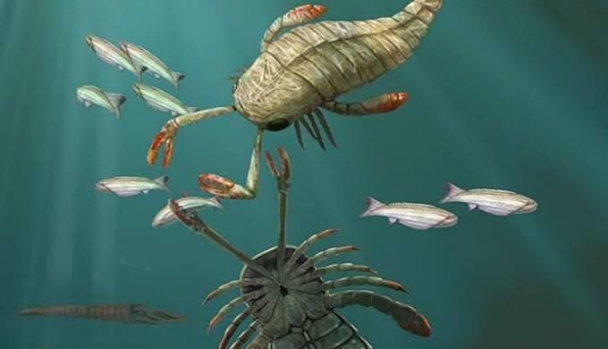 板足鲎类是什么？它们是什么原因灭绝的？