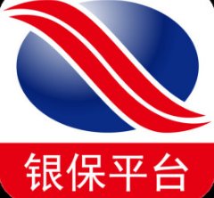 银保是什么意思啊