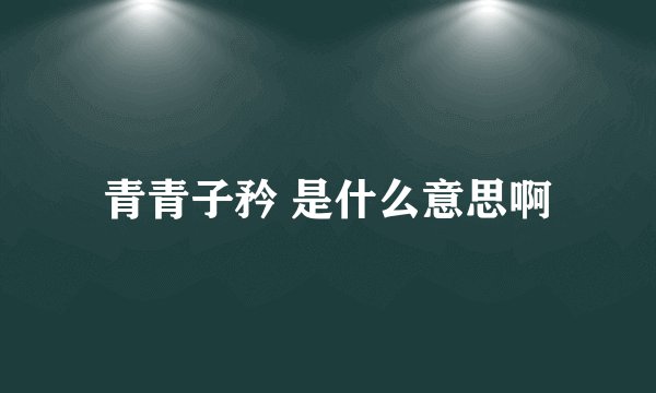 青青子矜 是什么意思啊