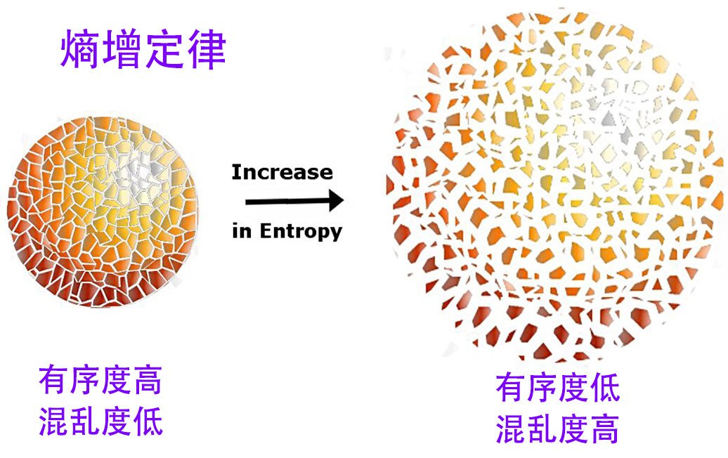 熵增定律：为什么会让人类感到绝望？